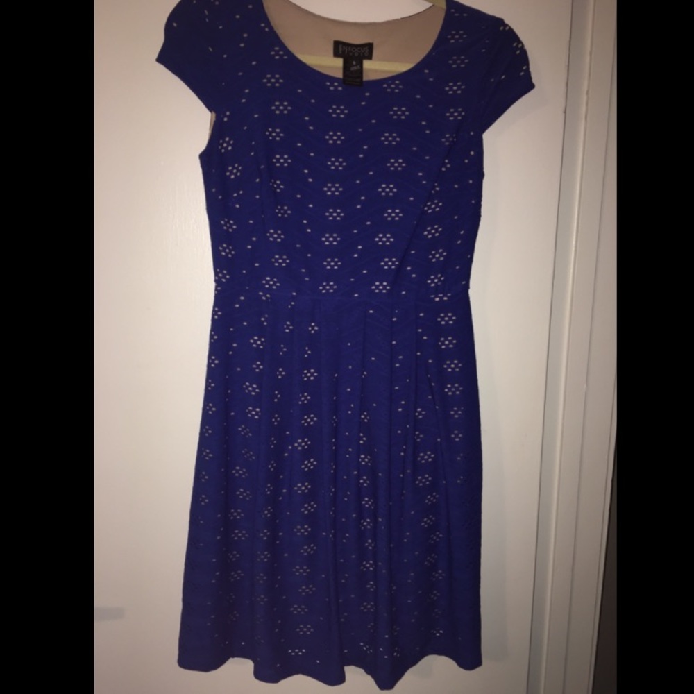 Blue and tan fit and flare dress